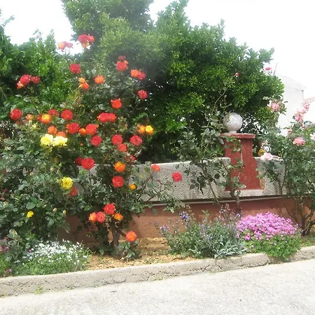 Apartment Vesna *