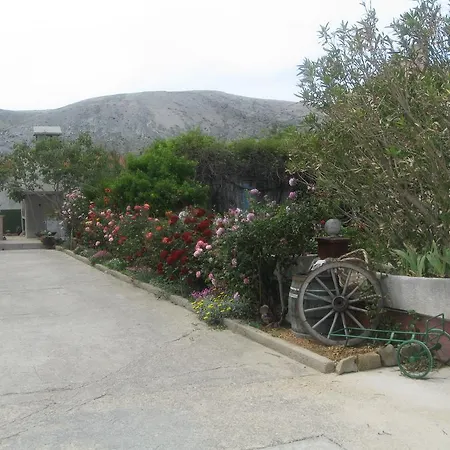 Vesna * Pag Town
