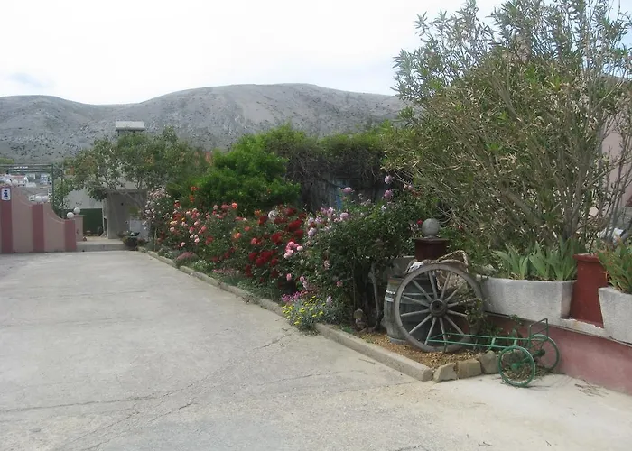 Vesna * Pag Town